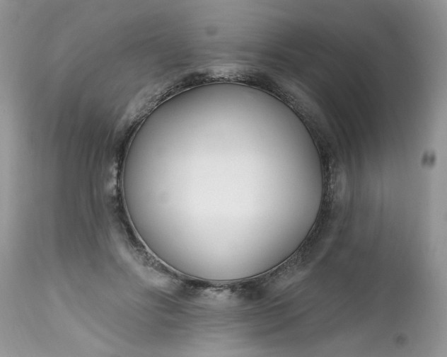 X0000112540502200908311450