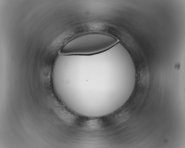 X0000112540505200908311449
