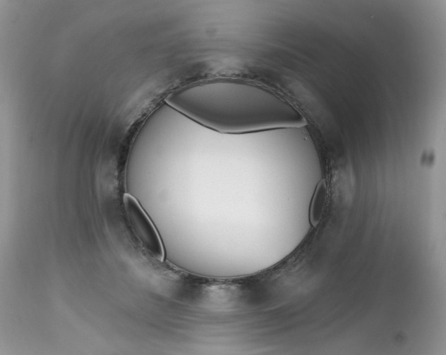 X0000112540508200908311449