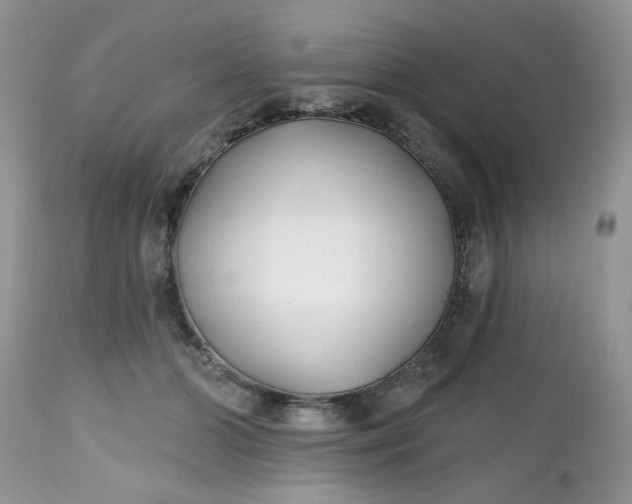 X0000112540510200908311449