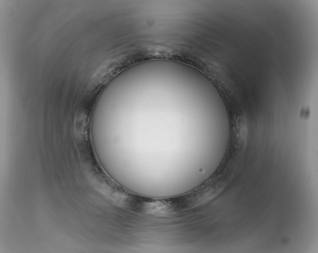 X0000112540511200908311449