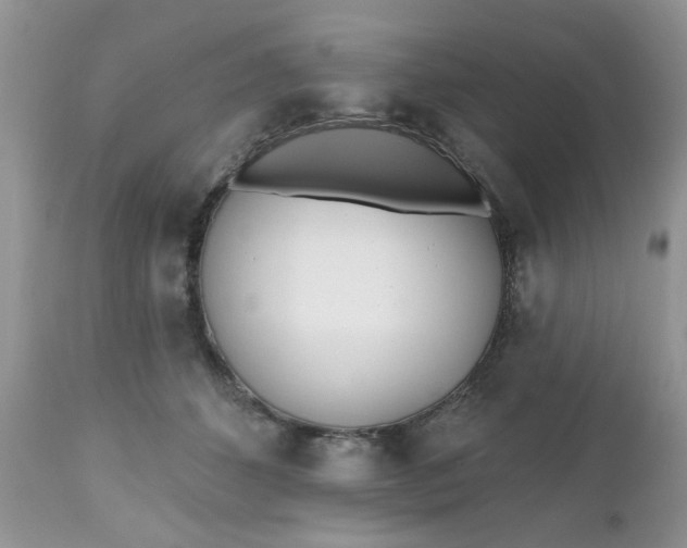 X0000112540512200908311449