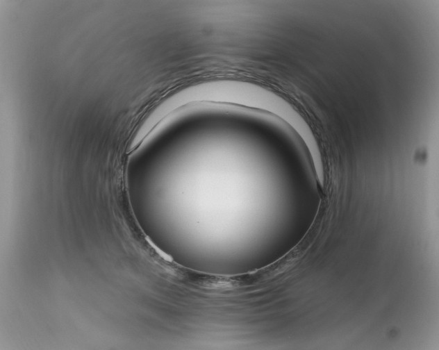 X0000112540513200908311449