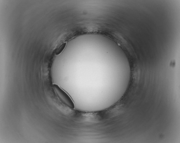 X0000112540516200908311449