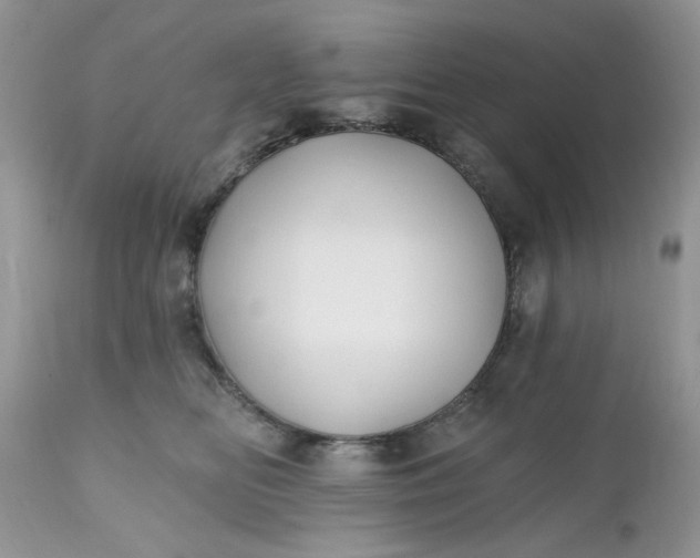 X0000112540518200908311449