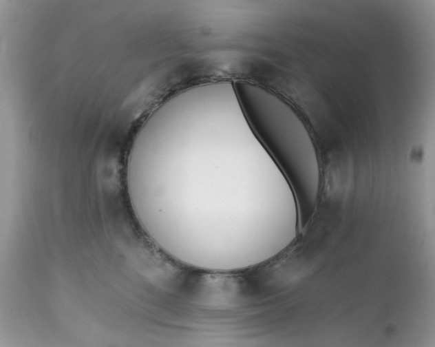 X0000112540520200908311449