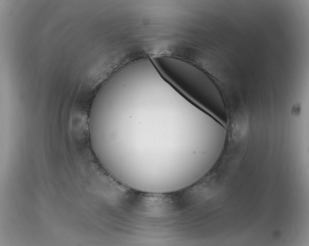 X0000112540521200908311449