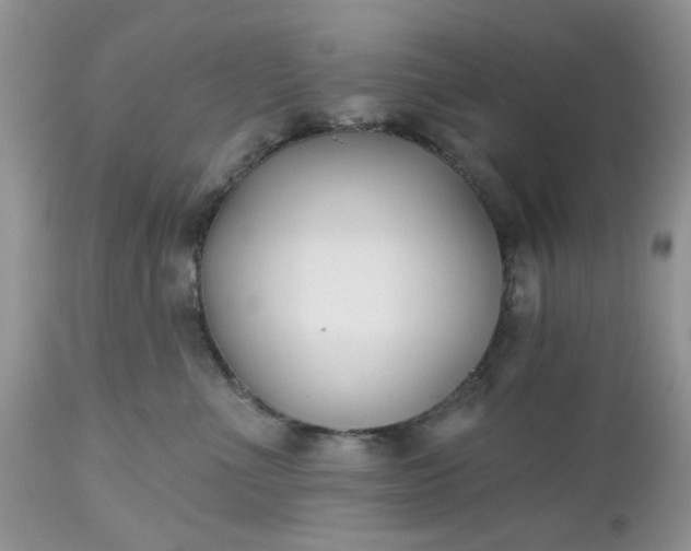 X0000112540523200908311449