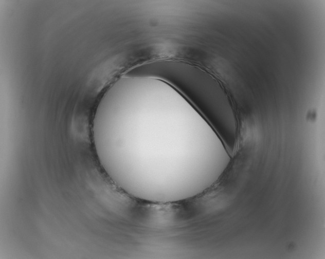 X0000112540524200908311449