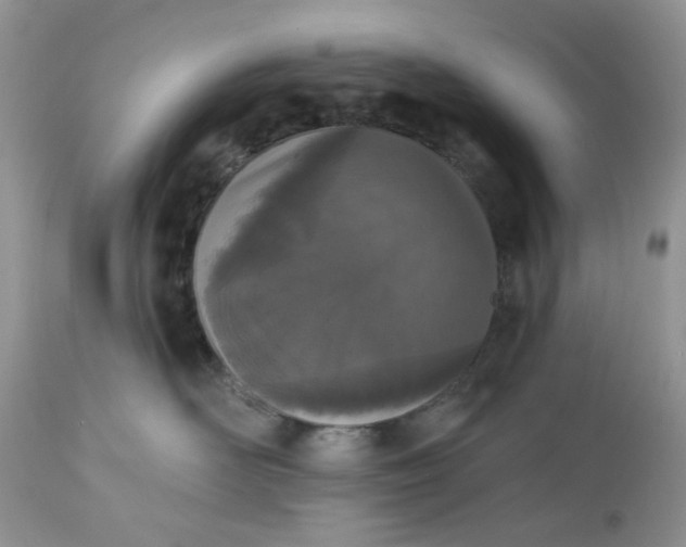 X0000112540526200908311449