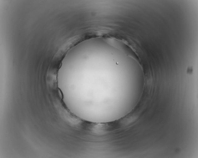 X0000112540527200908311449