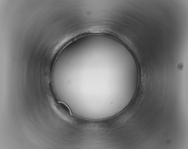 X0000112540530200908311448