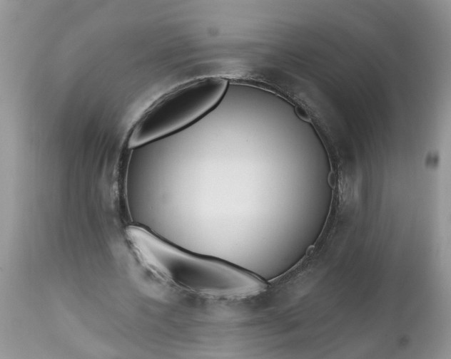 X0000112540532200908311448