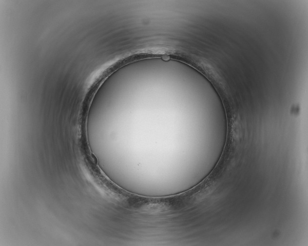 X0000112540536200908311448
