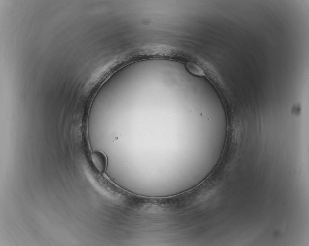 X0000112540538200908311448