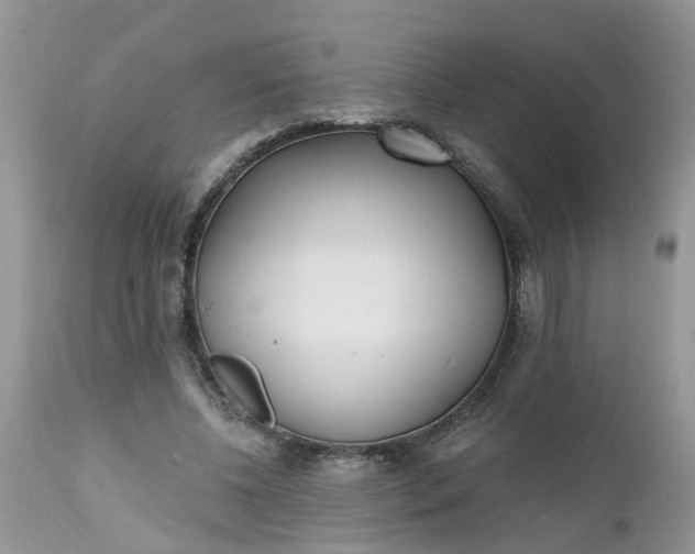 X0000112540540200908311448