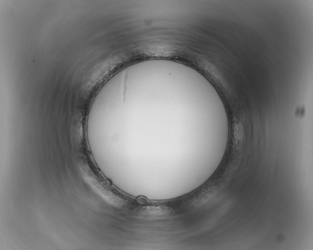 X0000112540541200908311448