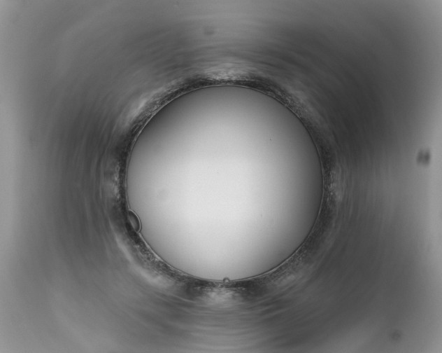 X0000112540547200908311448