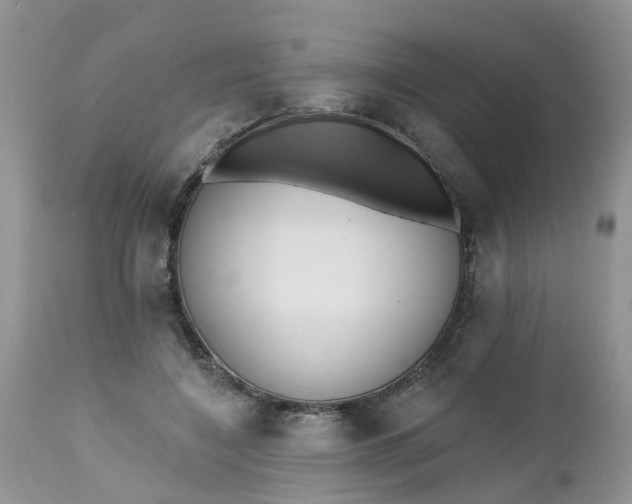 X0000112540548200908311449