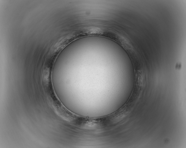 X0000112540550200908311449