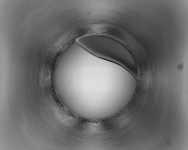 X0000112540552200908311449