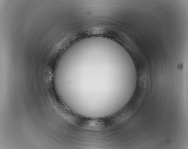 X0000112540555200908311449