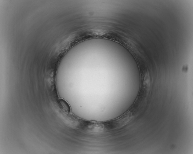 X0000112540559200908311449