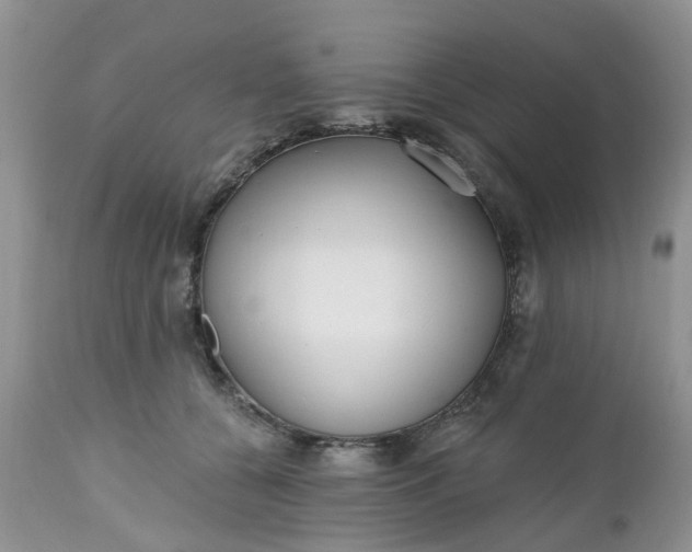 X0000112540560200908311449