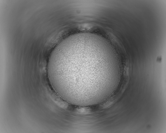 X0000112540561200908311449