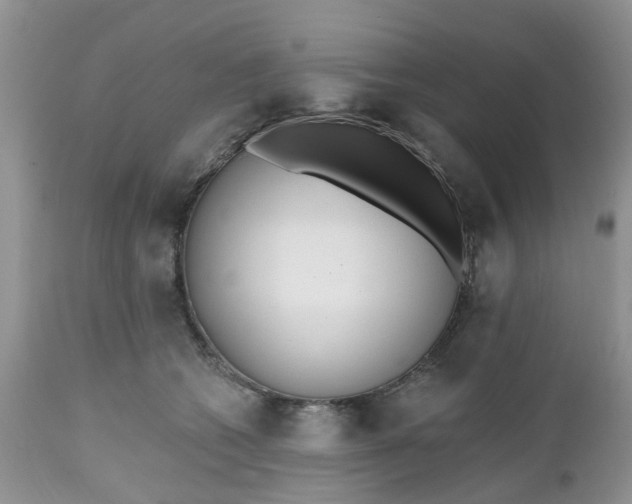 X0000112540562200908311449
