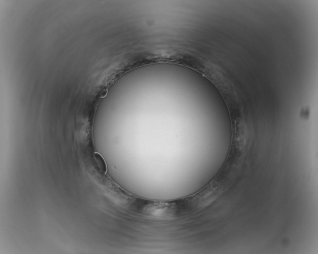X0000112540563200908311449