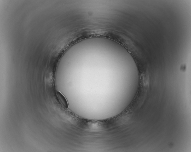 X0000112540564200908311449