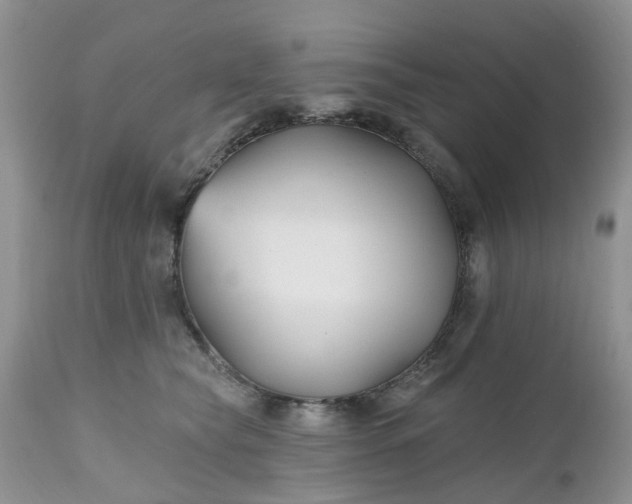 X0000112540565200908311449