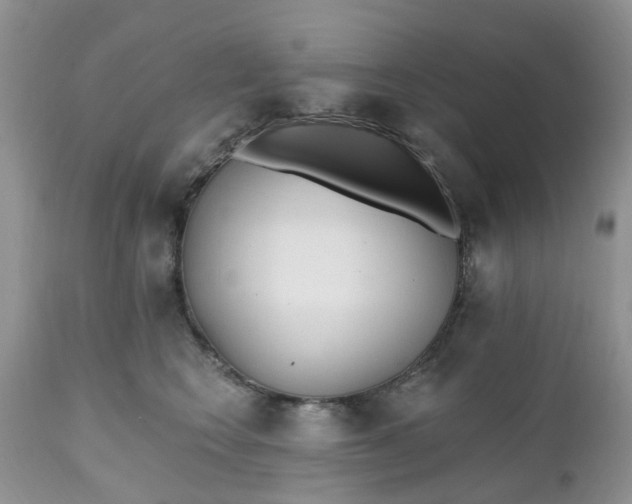 X0000112540566200908311449