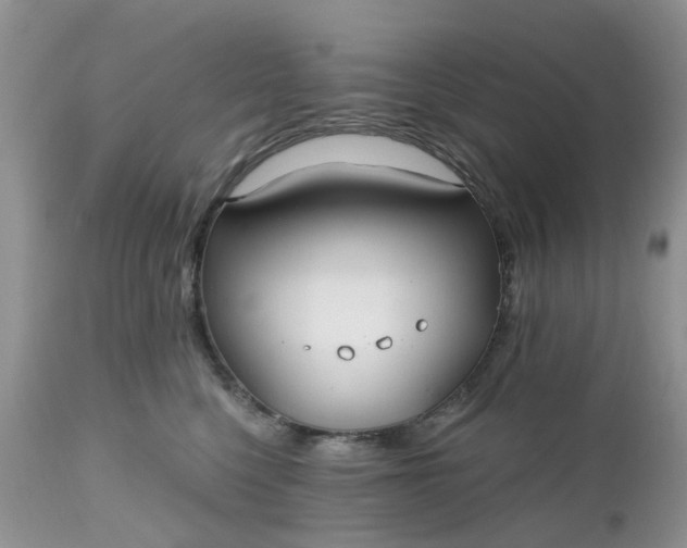X0000112540568200908311449