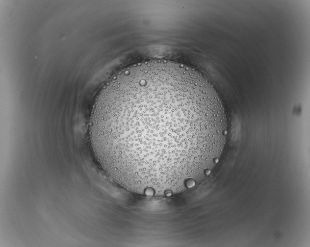 X0000112540569200908311449