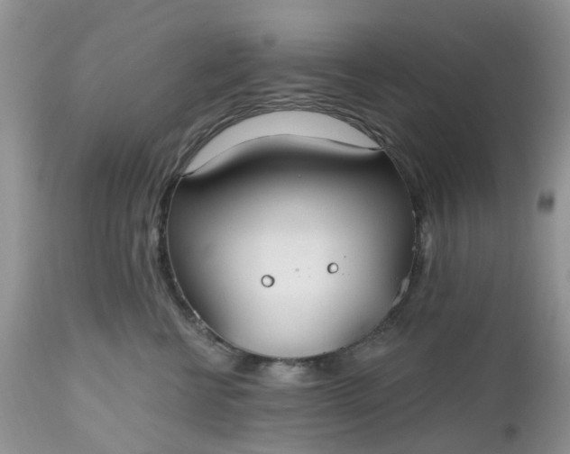 X0000112540570200908311449