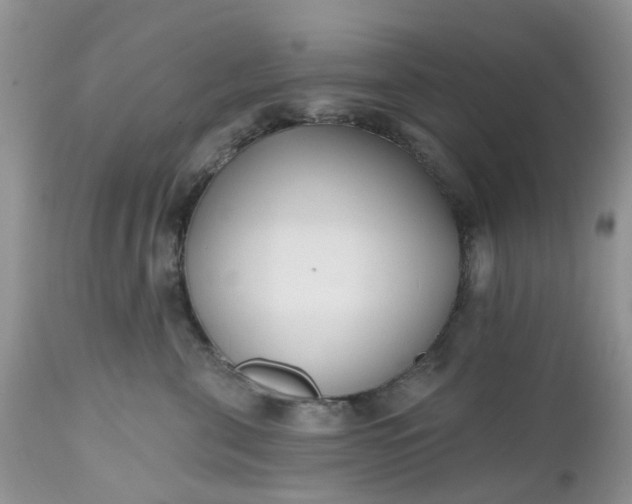 X0000112540571200908311449