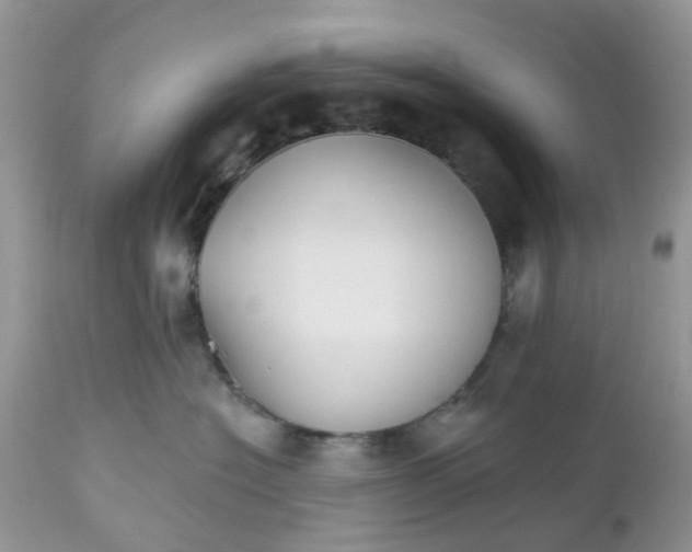 X0000112540574200908311449