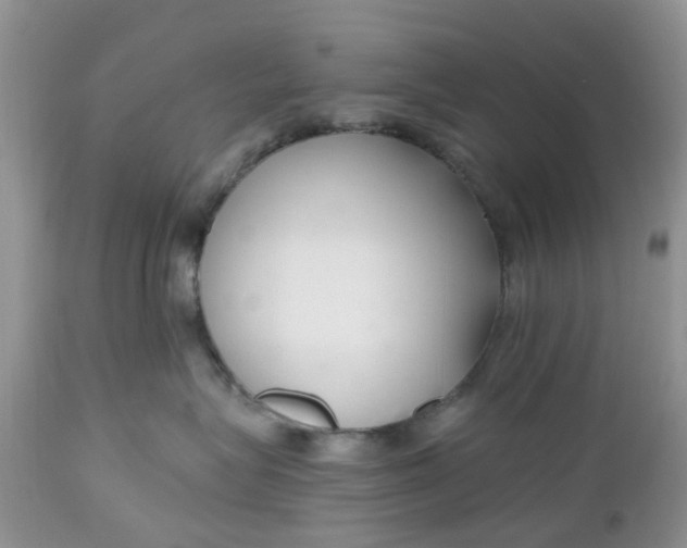X0000112540575200908311449