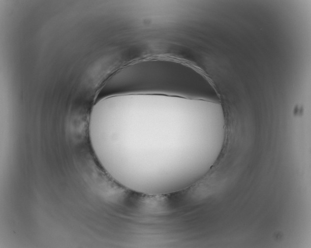 X0000112540576200908311449