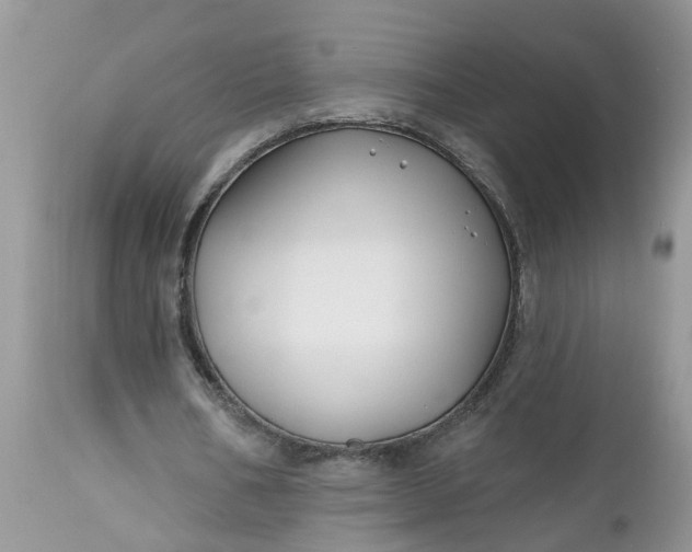 X0000112540578200908311448