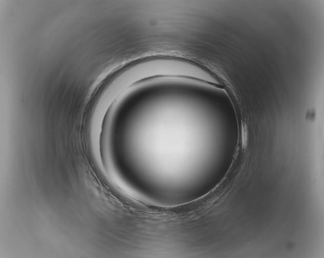 X0000112540579200908311448