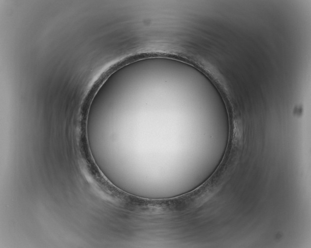 X0000112540580200908311448