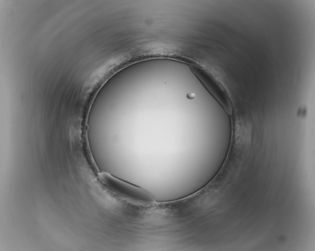 X0000112540581200908311448