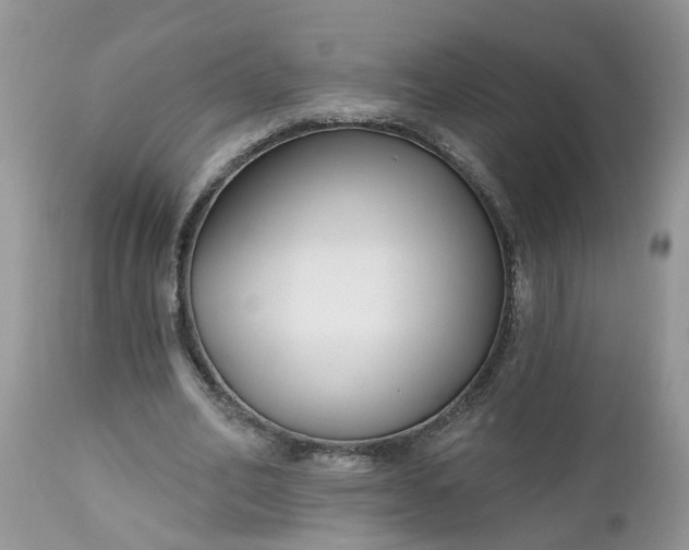 X0000112540582200908311448
