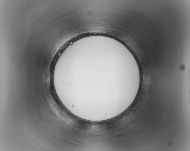 X0000112540584200908311448