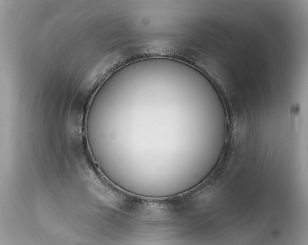 X0000112540585200908311448