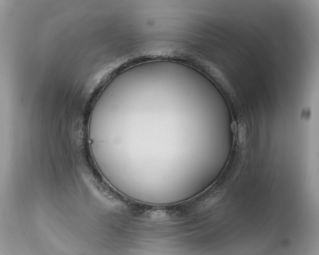 X0000112540588200908311448