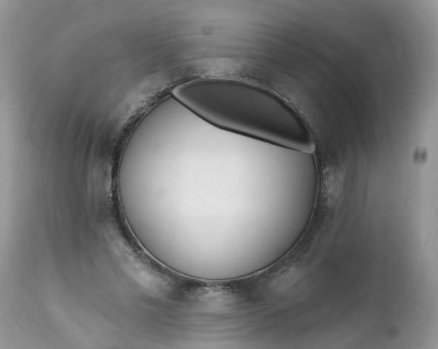 X0000112540589200908311448